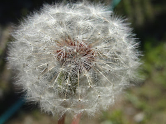 Meet your Posher, T - Picture 1 of 1